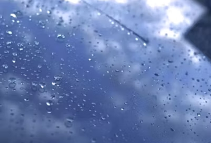 Water